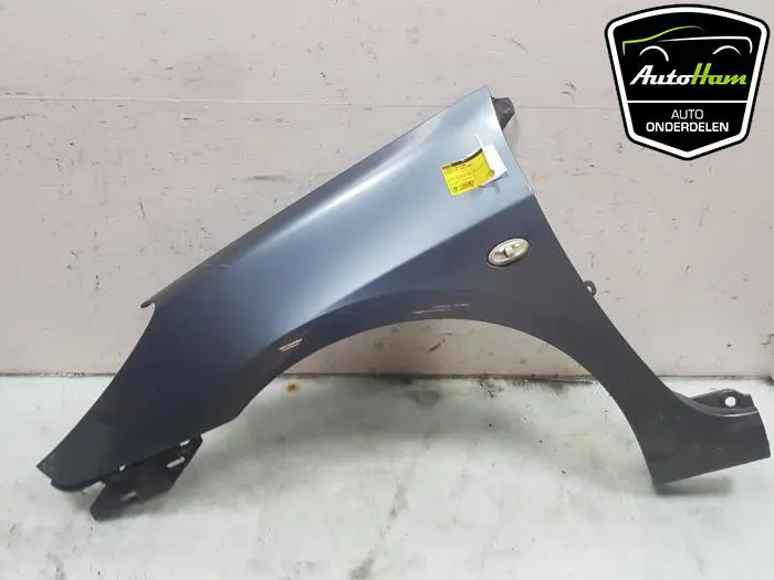 Scherm links-voor Peugeot 307