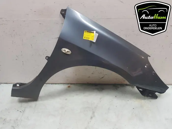 Scherm rechts-voor Peugeot 307