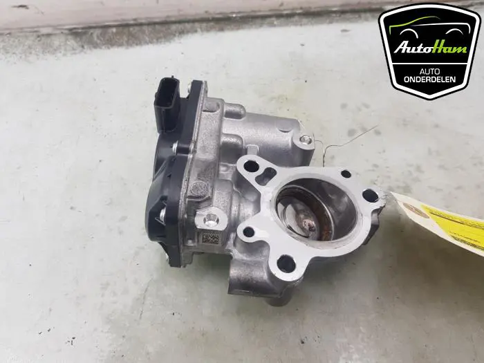 EGR Klep Renault Express