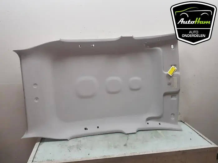 Hemelbekleding Volkswagen UP