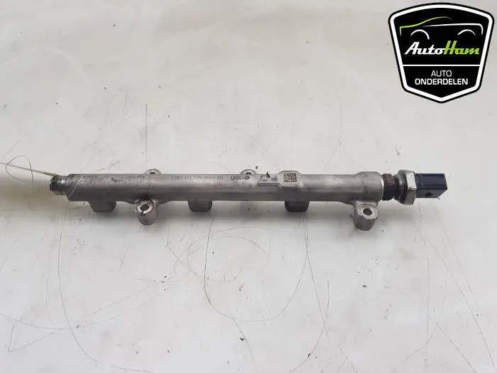 Galerij (Injectie) Volkswagen Golf