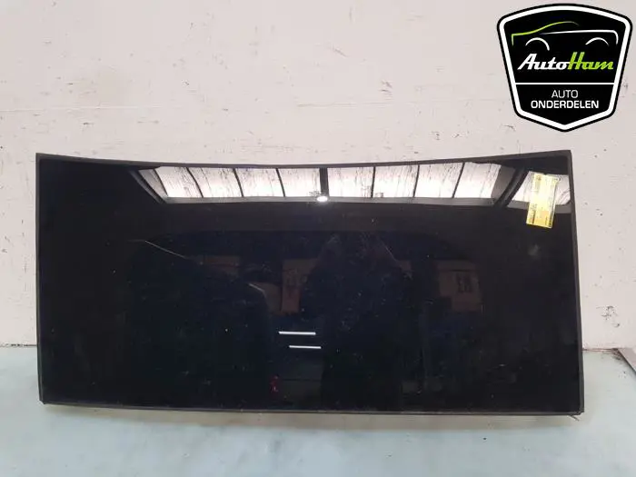 Portierruit 4Deurs rechts-achter Tesla Model X