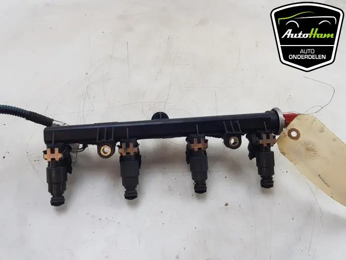 Galerij (Injectie) Fiat Punto Grande
