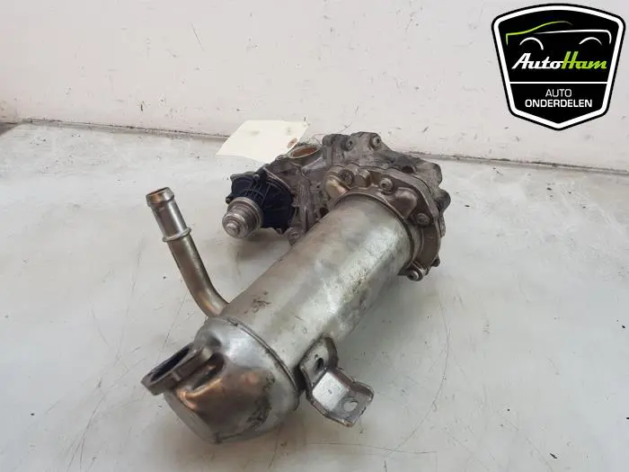 EGR Klep Ford Transit