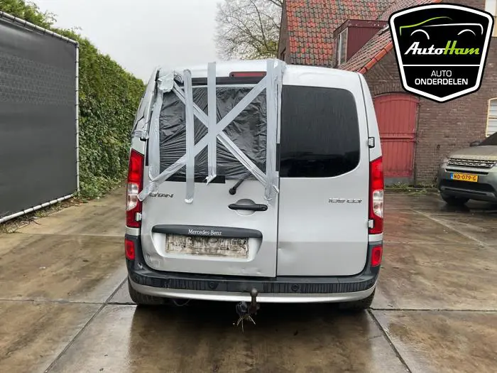 Achterdeur Bus-Bestelauto Mercedes Citan
