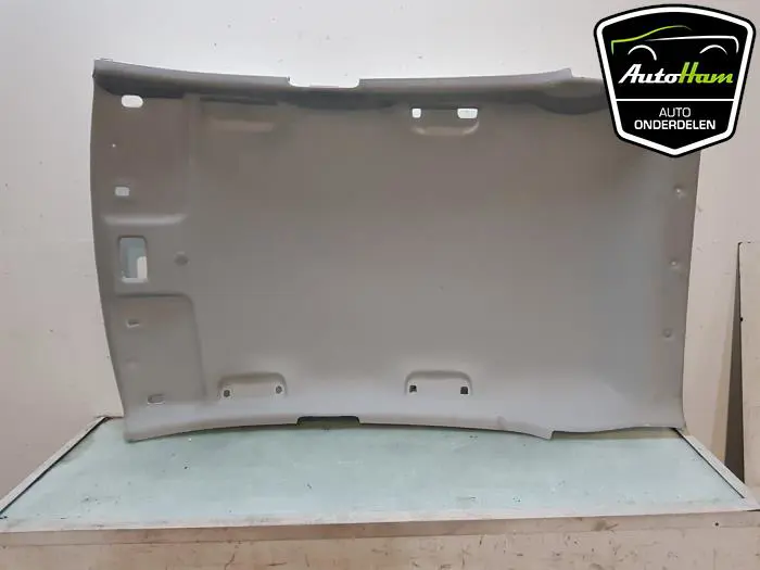 Hemelbekleding Suzuki S-Cross