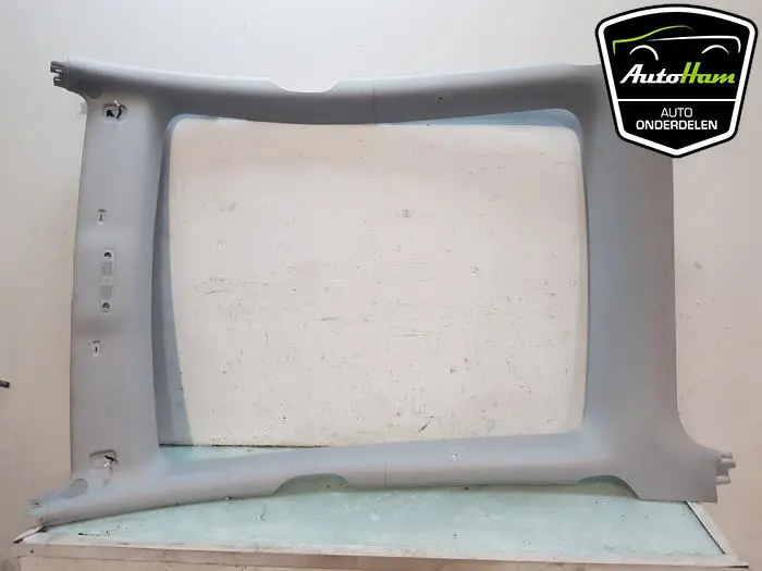 Hemelbekleding Tesla Model Y