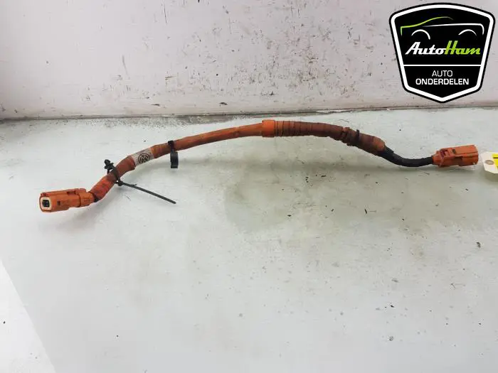 HV kabel (hoog voltage) Volkswagen Golf