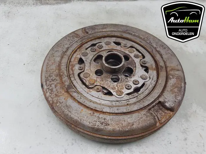 Dubbele massa vliegwiel Volkswagen Golf