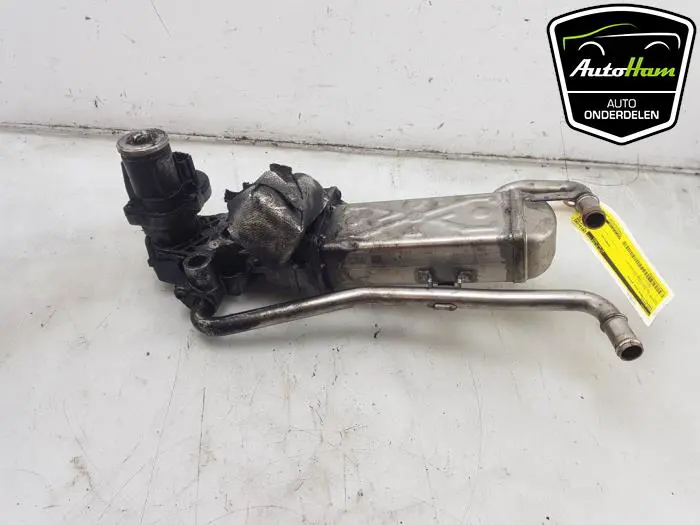EGR Klep Skoda Fabia