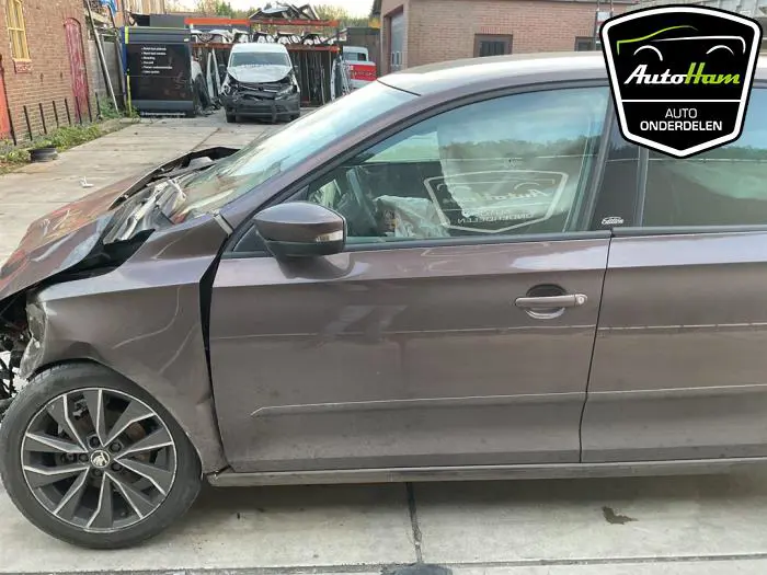 Portier 4Deurs links-voor Skoda Rapid