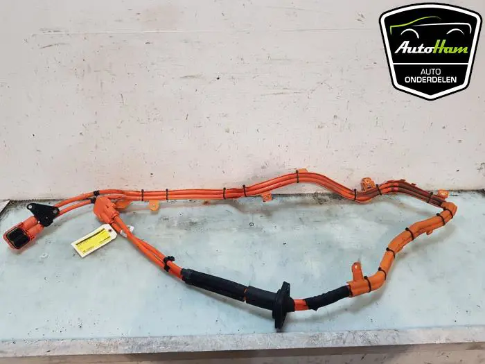 HV kabel (hoog voltage) BMW X5