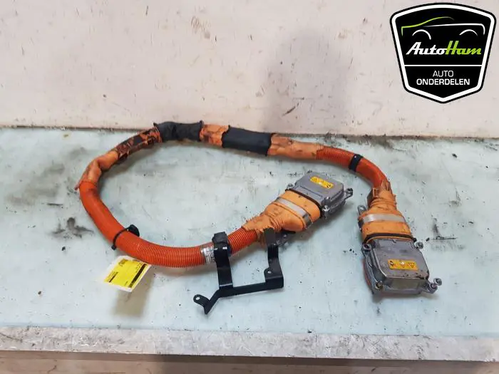 HV kabel (hoog voltage) BMW X5