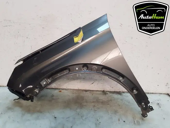 Scherm links-voor Peugeot 5008