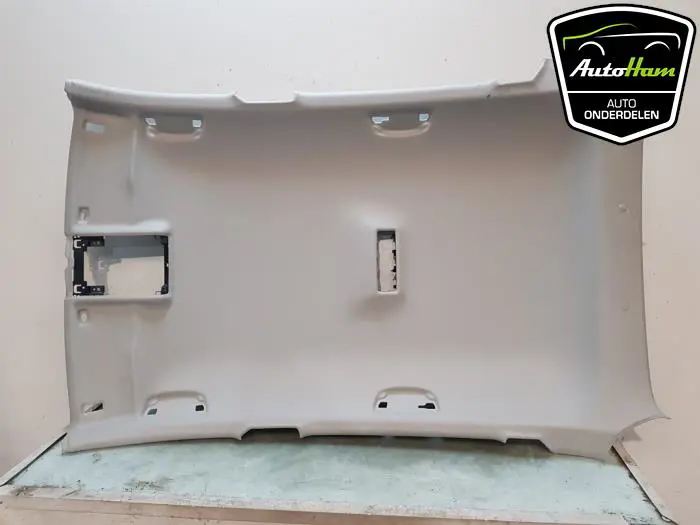 Hemelbekleding Skoda Scala
