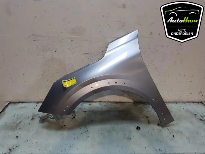 Scherm links-voor Peugeot 208