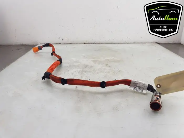 HV kabel (hoog voltage) Peugeot 208