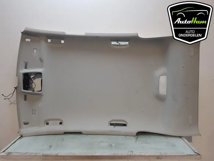 Hemelbekleding Mercedes B-Klasse