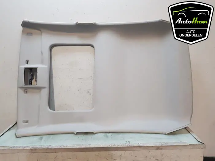 Hemelbekleding Seat Mii