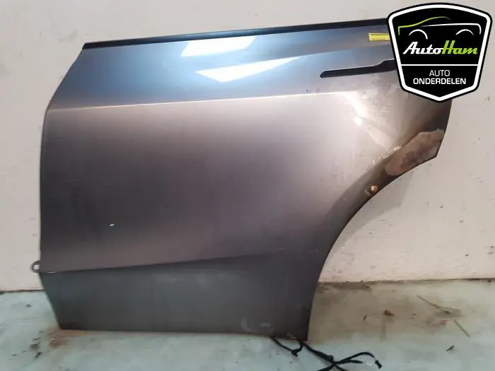 Portier 4Deurs links-achter Tesla Model Y