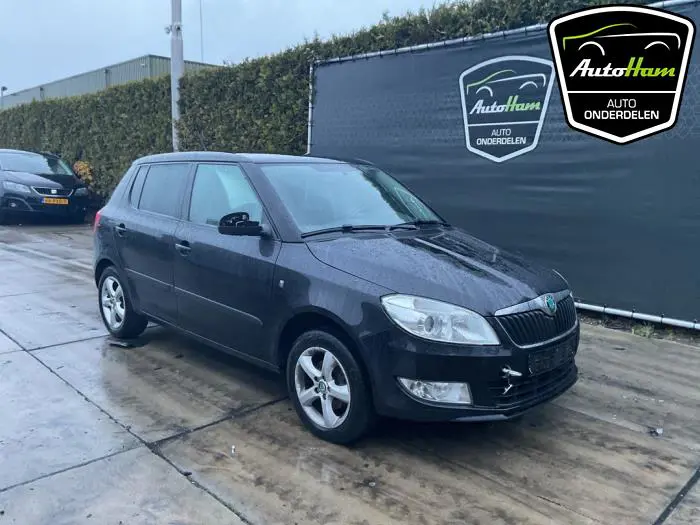 Scherm rechts-voor Skoda Fabia
