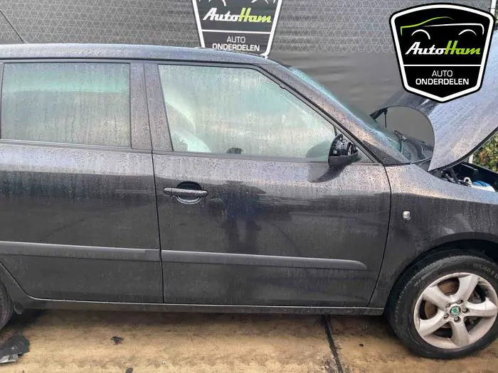 Portier 4Deurs rechts-voor Skoda Fabia