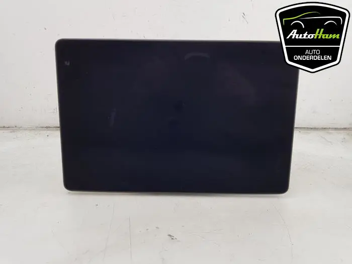 Display Multi Media regelunit Tesla Model Y
