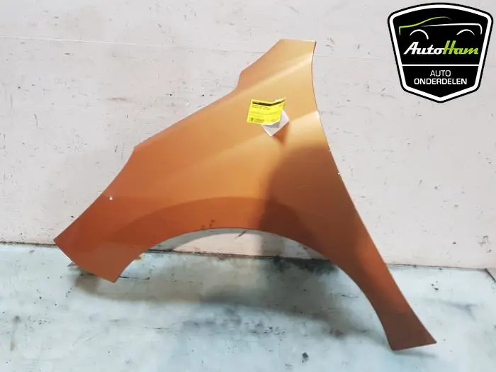 Scherm links-voor Peugeot 207