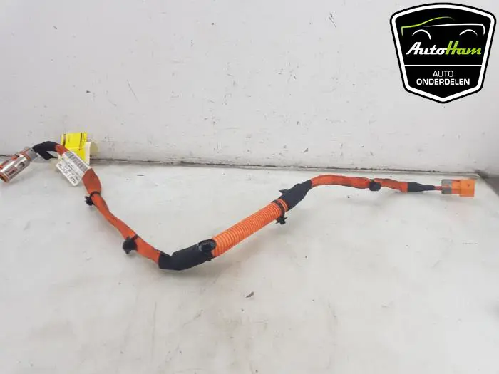 HV kabel (hoog voltage) Peugeot 208