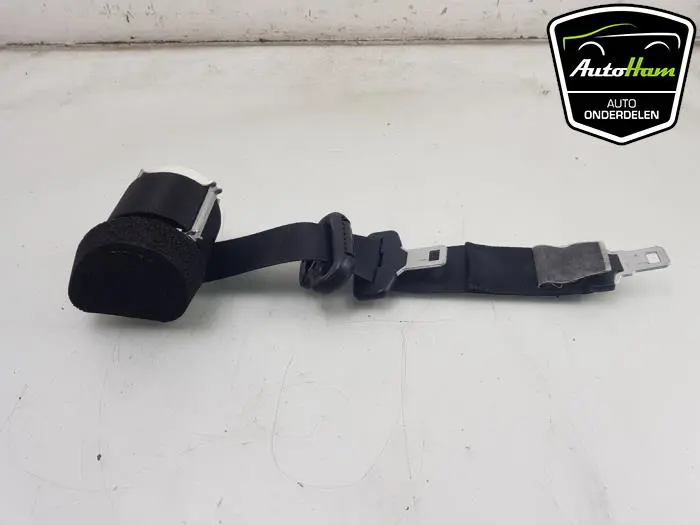 Veiligheidsgordel midden-achter Ford S-Max