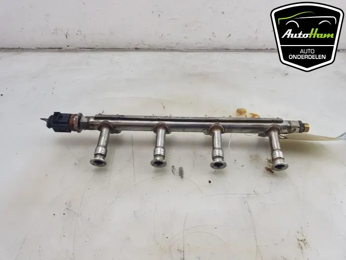 Galerij (Injectie) Skoda Fabia