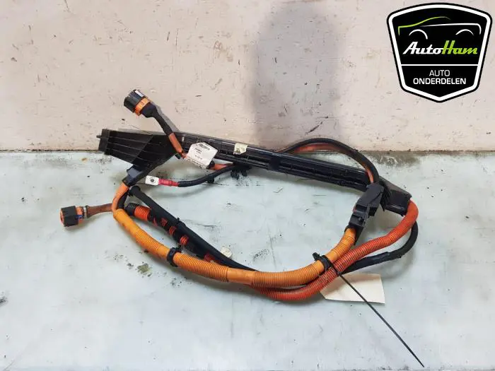 HV kabel (hoog voltage) Renault Twingo