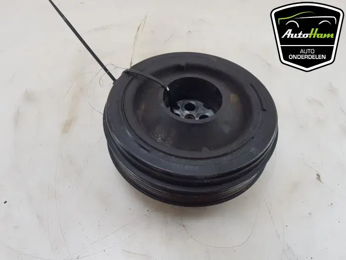 Krukas Poelie Landrover Discovery