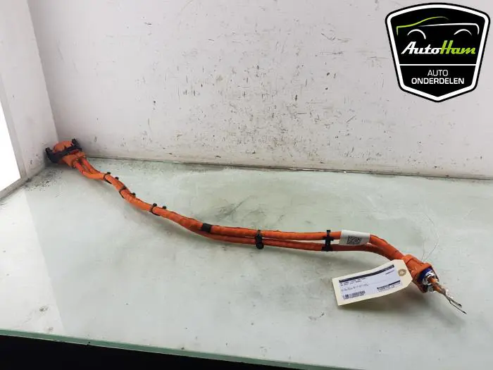 HV kabel (hoog voltage) Volkswagen Golf