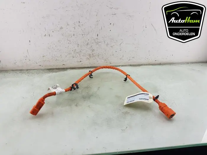 HV kabel (hoog voltage) Volkswagen Golf