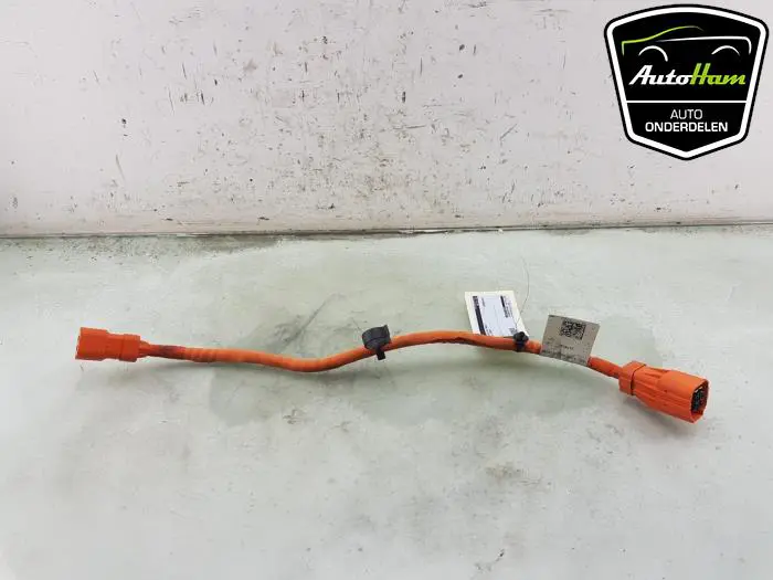 HV kabel (hoog voltage) Volkswagen Golf