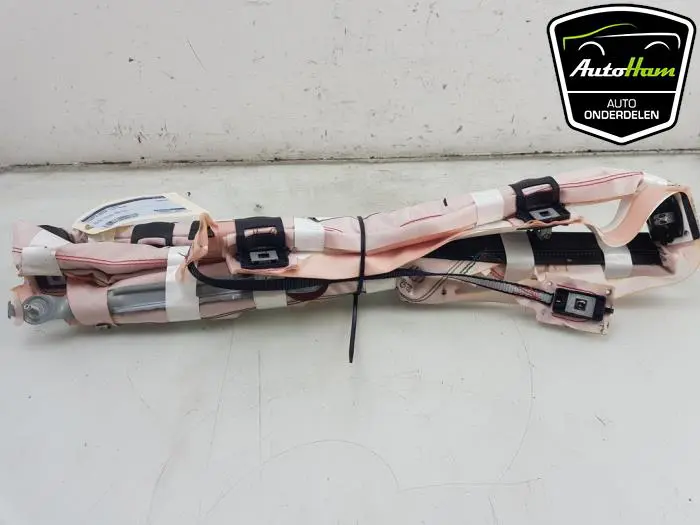Airbag hemel links Ford Fiesta