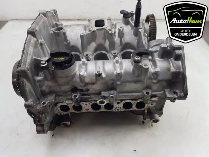 Cilinderkop Ford Focus