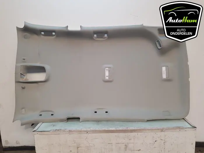 Hemelbekleding Opel Zafira C