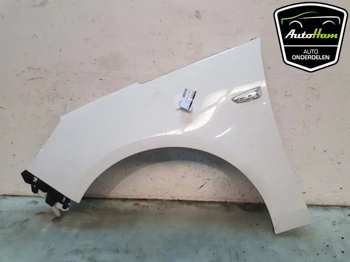 Scherm links-voor Opel Zafira C