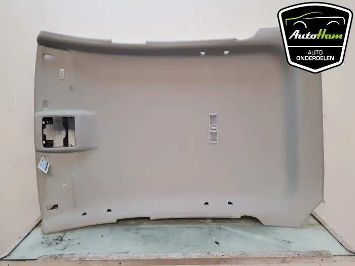 Hemelbekleding Seat Leon