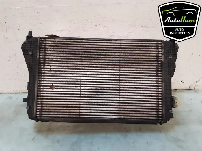 Koelerset Volkswagen Passat