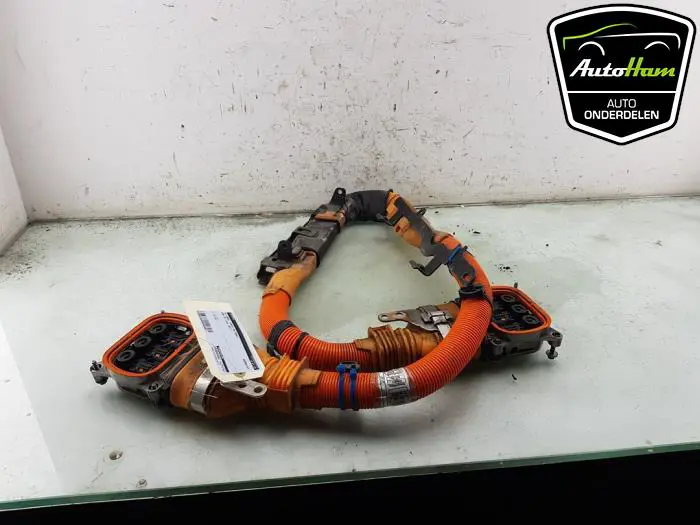 HV kabel (hoog voltage) BMW X5