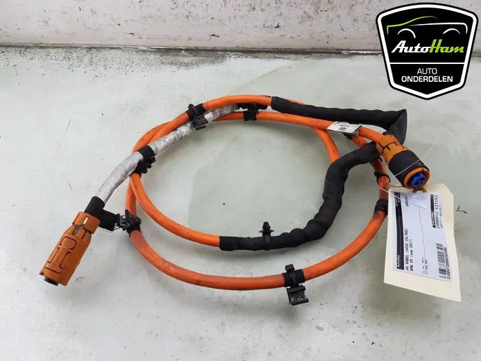 HV kabel (hoog voltage) BMW X5