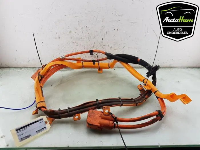 HV kabel (hoog voltage) BMW X5