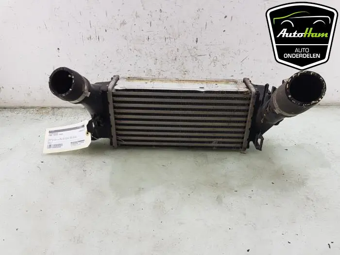 Intercooler Ford Fiesta