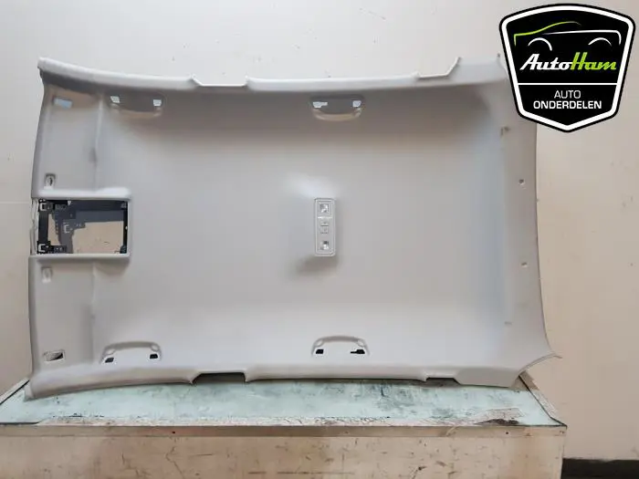 Hemelbekleding Skoda Scala