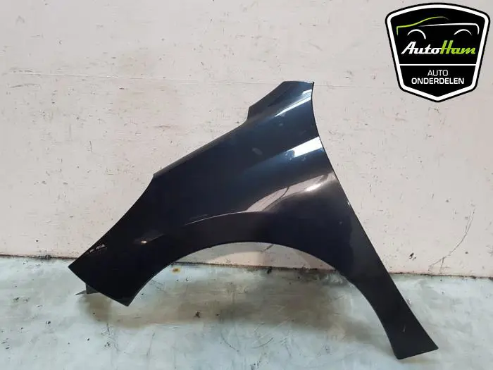 Scherm links-voor Peugeot 207