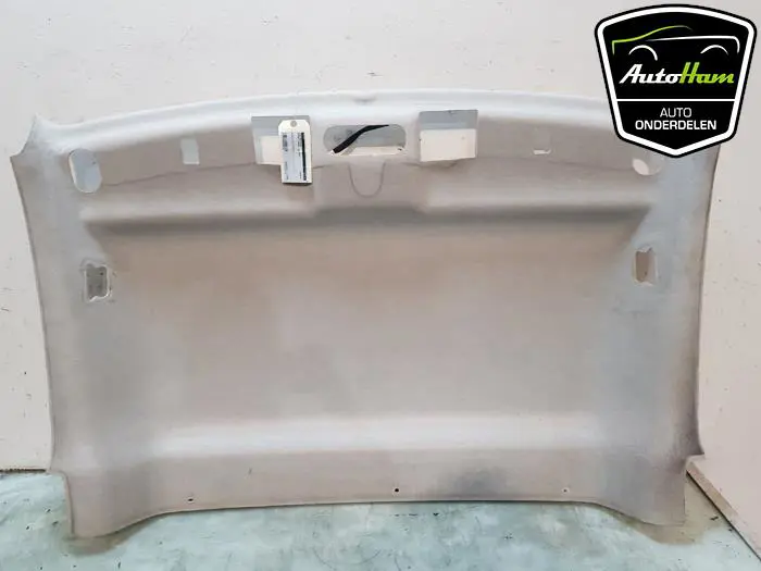 Hemelbekleding Renault Kangoo