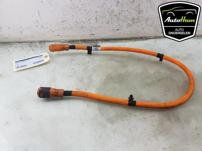 HV kabel (hoog voltage) BMW X5